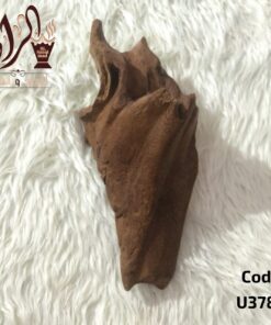 قطعة عود مروكي أصقون طبيعي