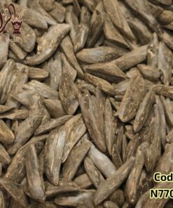 عود مروكي وديان محسن بيور